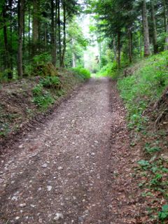 06-Chemin_creux-2.jpg